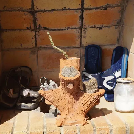 Khaleesi Tossa de Mar